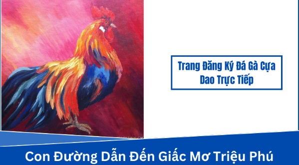 Lựa chọn nhà cái cá cược đá gà uy tín